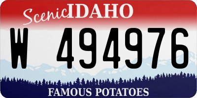 ID license plate W494976