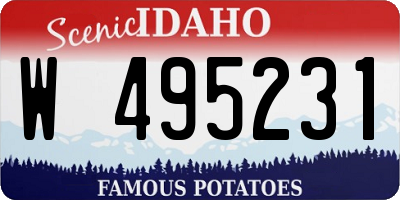 ID license plate W495231
