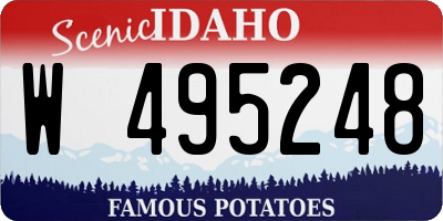 ID license plate W495248