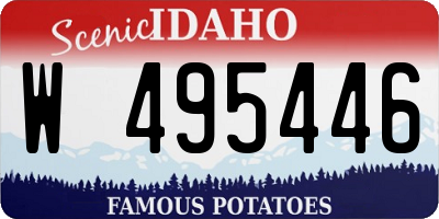 ID license plate W495446