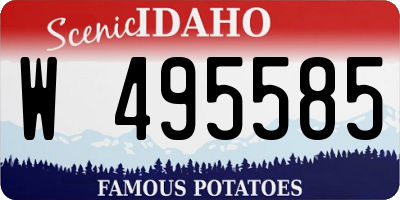 ID license plate W495585