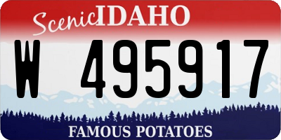 ID license plate W495917