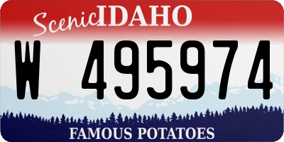 ID license plate W495974