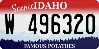 ID license plate W496320