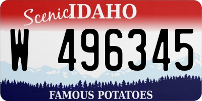 ID license plate W496345