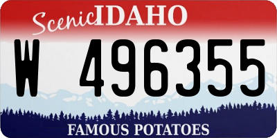 ID license plate W496355