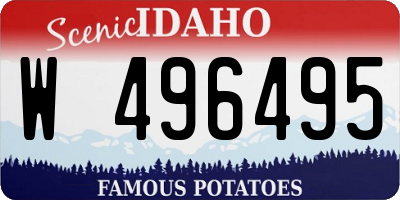 ID license plate W496495