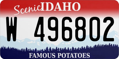 ID license plate W496802