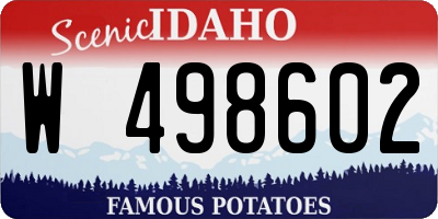 ID license plate W498602