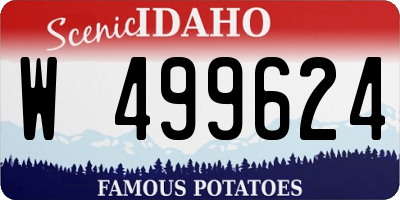 ID license plate W499624