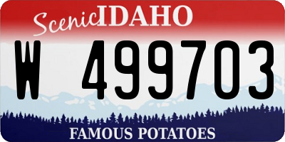 ID license plate W499703