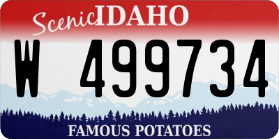 ID license plate W499734