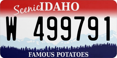 ID license plate W499791