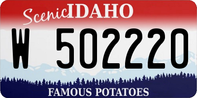 ID license plate W502220