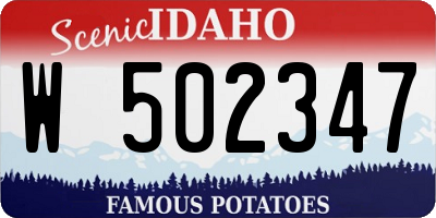 ID license plate W502347