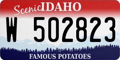 ID license plate W502823