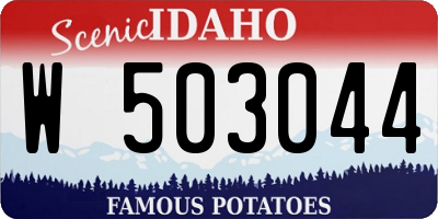 ID license plate W503044