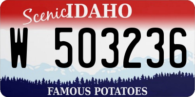 ID license plate W503236
