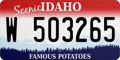 ID license plate W503265