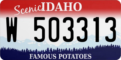 ID license plate W503313