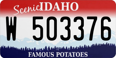 ID license plate W503376