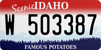ID license plate W503387