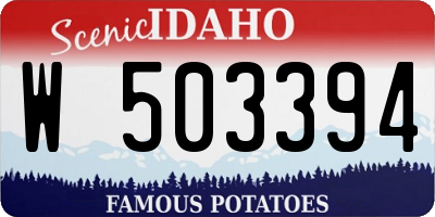 ID license plate W503394