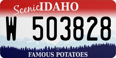 ID license plate W503828