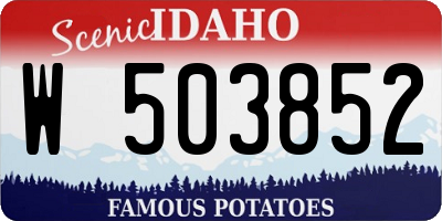 ID license plate W503852