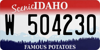 ID license plate W504230