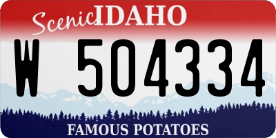 ID license plate W504334