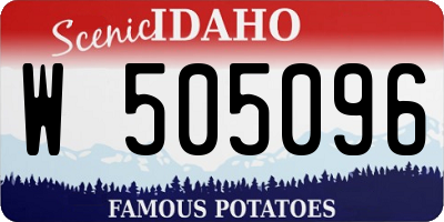 ID license plate W505096