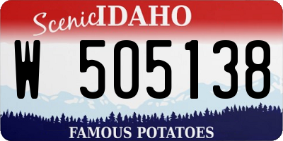 ID license plate W505138