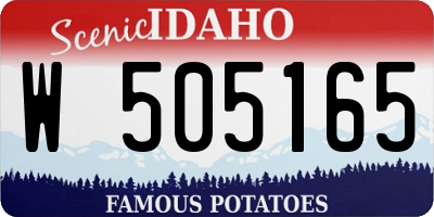 ID license plate W505165