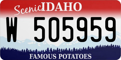 ID license plate W505959