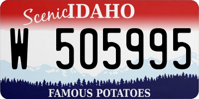 ID license plate W505995