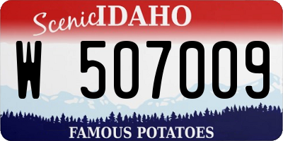ID license plate W507009