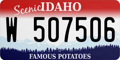 ID license plate W507506