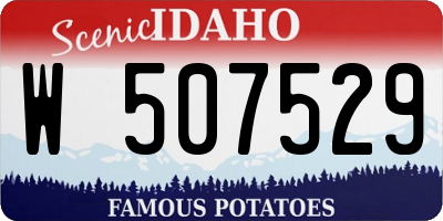 ID license plate W507529