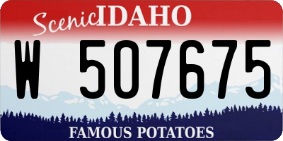 ID license plate W507675