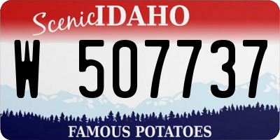 ID license plate W507737