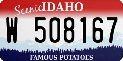 ID license plate W508167