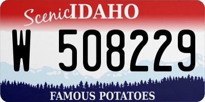 ID license plate W508229