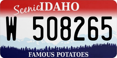 ID license plate W508265