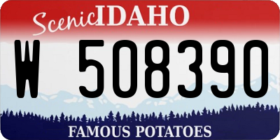 ID license plate W508390