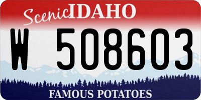 ID license plate W508603
