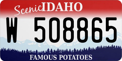 ID license plate W508865