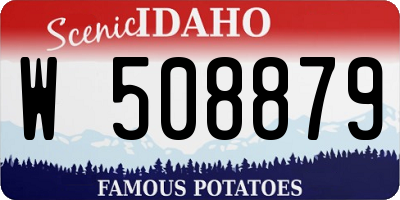 ID license plate W508879