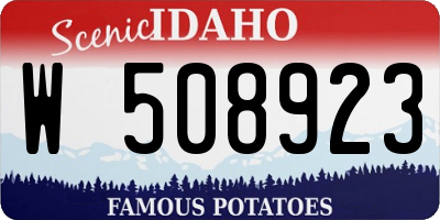 ID license plate W508923