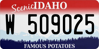 ID license plate W509025